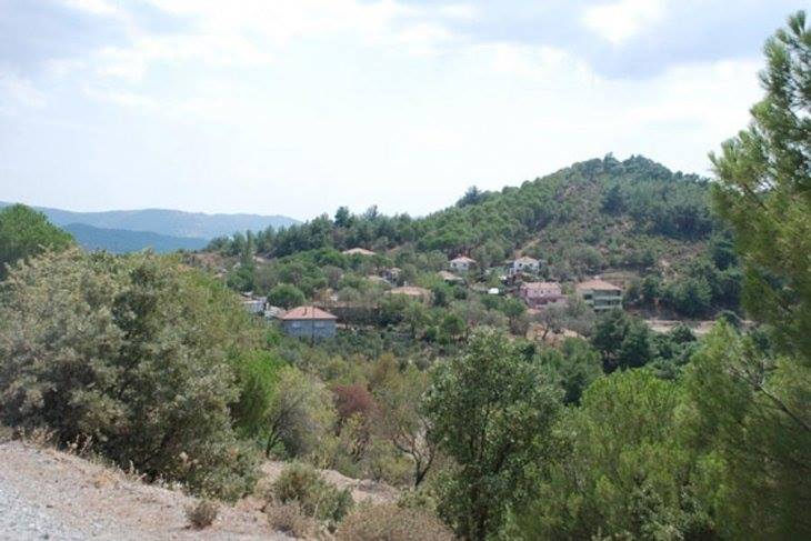 Ayvalık Tıfıllar Köyü Resimleri 8