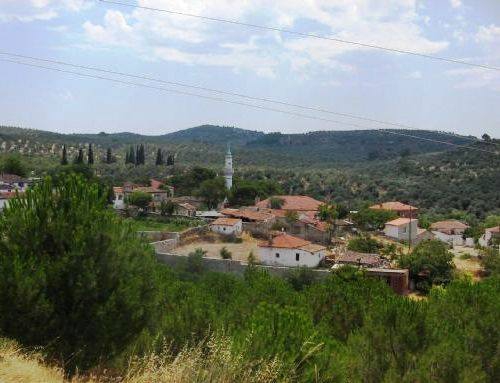 Ayvalık Türközü Köyü Resimleri 1