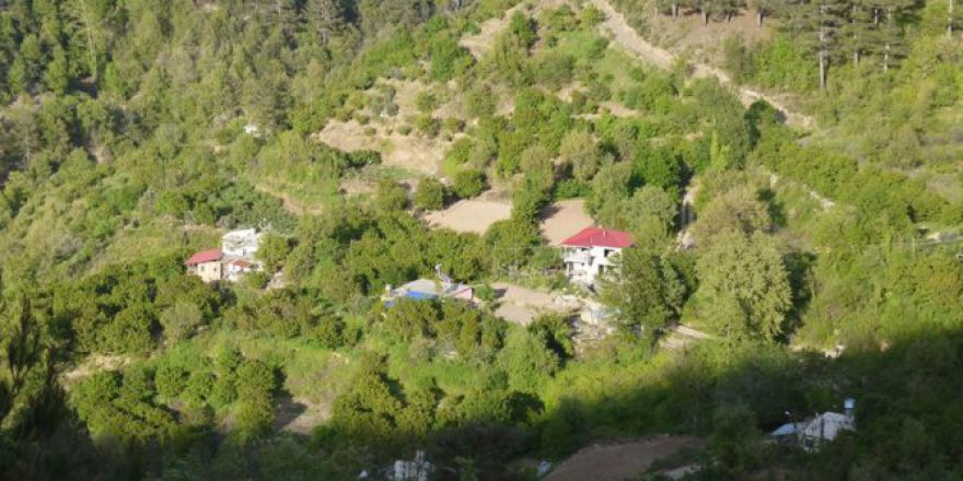 Antalya Gazipaşa Gökçesaray Köyü Resimleri