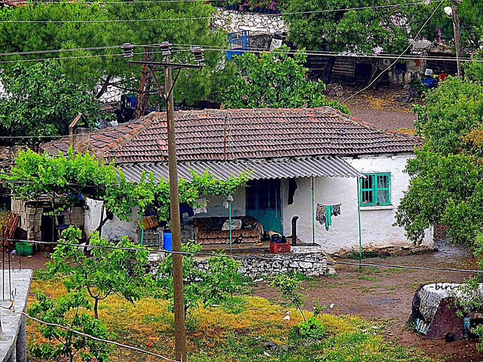 Ayvalık Üçkabaağaç Köyü Resimleri 4