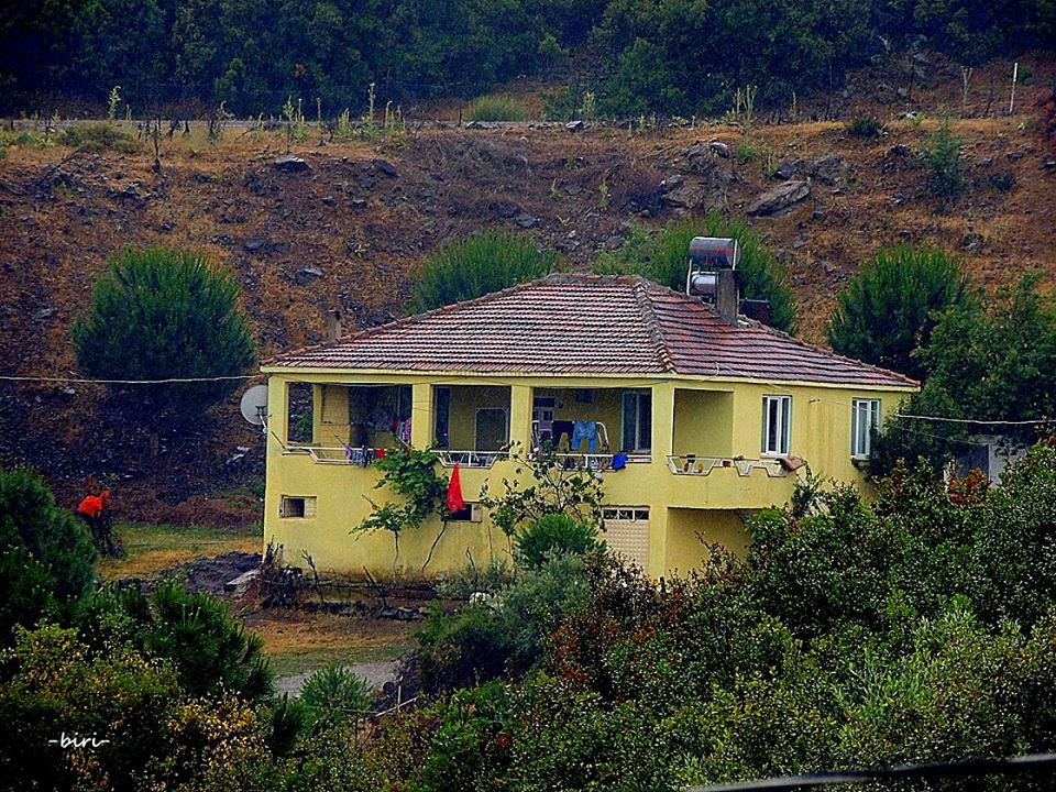 Ayvalık Üçkabaağaç Köyü Resimleri 5