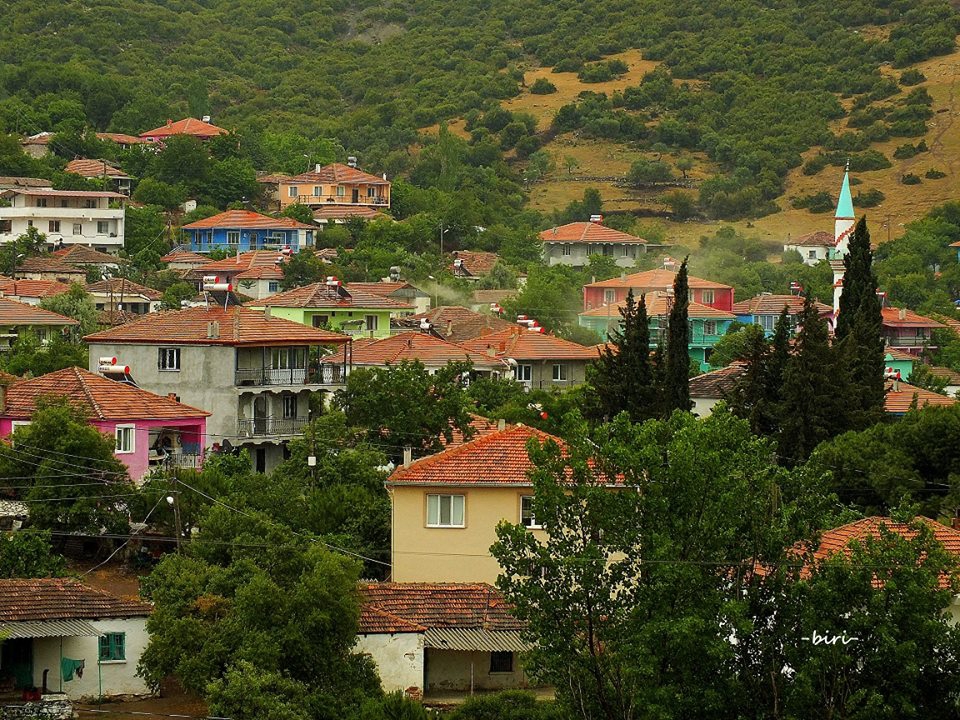 Ayvalık Üçkabaağaç Köyü Resimleri 7