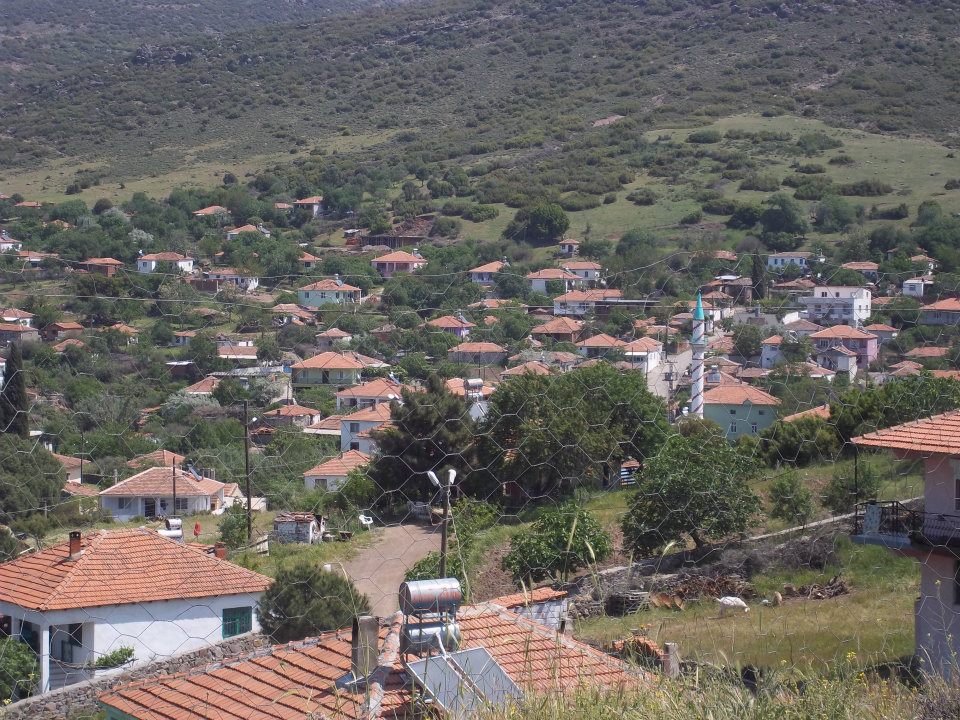 Ayvalık Üçkabaağaç Köyü Resimleri 8