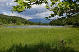 Mengen Kayabükü Köyü Resimleri 2