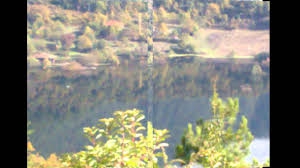 Mengen Kayabükü Köyü Resimleri 8