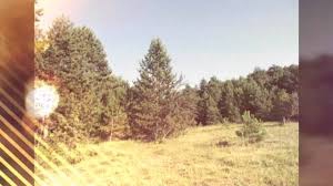 Mengen Kıyaslar Köyü Resimleri 4