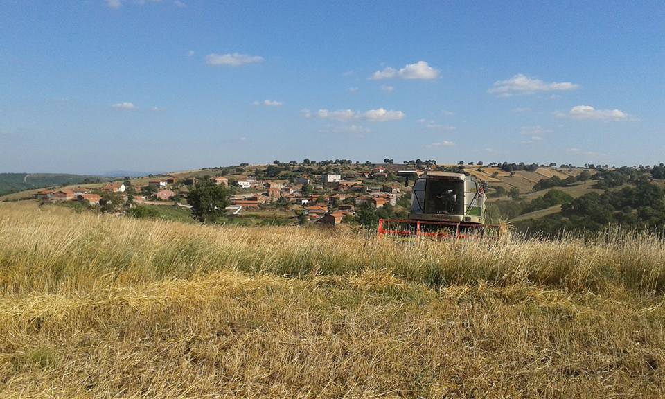 Altıeylül Aliağa Köyü Resimleri 3