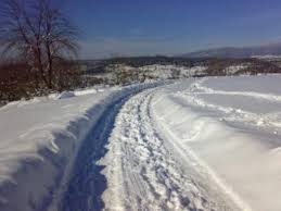 Mengen Nazırlar Köyü Resimleri 1