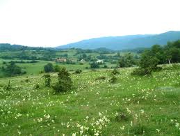 Mengen Nazırlar Köyü Resimleri 2