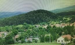 Mengen Pazarköy Köyü Resimleri 1