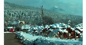 Mengen Pazarköy Köyü Resimleri 4