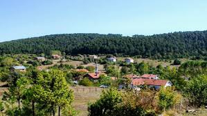 Mengen Rüknettinköy Köyü Resimleri 1