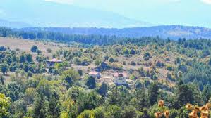 Mengen Rüknettinköy Köyü Resimleri 3