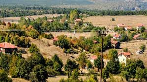 Mengen Rüknettinköy Köyü Resimleri 7