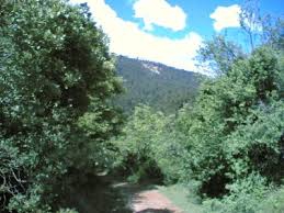 Mengen Sarıkadılar Köyü Resimleri 1