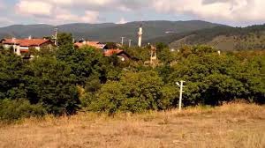 Mengen Sarıkadılar Köyü Resimleri 3