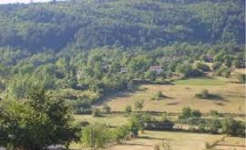 Mengen Sarıkadılar Köyü Resimleri 7