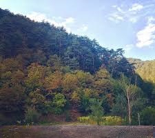 Mudurnu Bekdemirler Köyü Resimleri 1