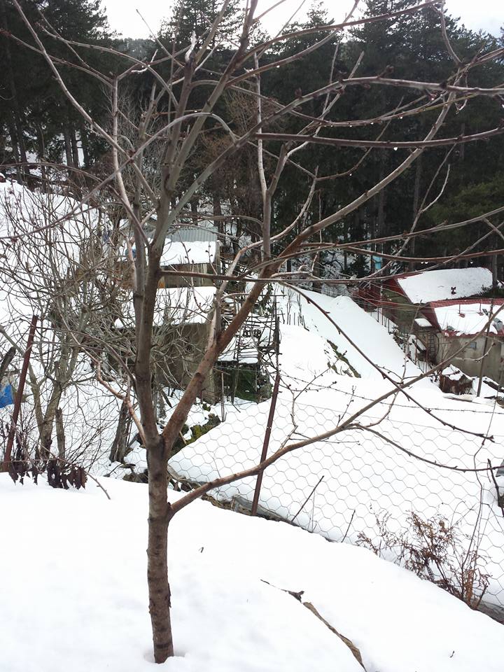 Gazipaşa Hasdere Köyü Resimleri 5