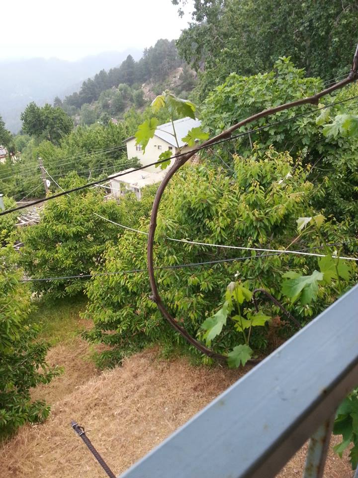 Gazipaşa Hasdere Köyü Resimleri 8