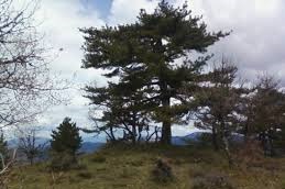 Mudurnu Bostancılar Köyü Resimleri 2