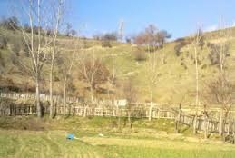 Mudurnu Bulanık Köyü Resimleri 10