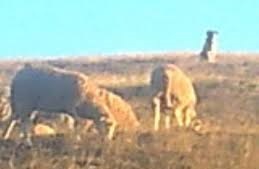 Mudurnu Bulanık Köyü Resimleri 3