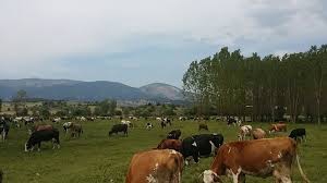 Mudurnu Bulanık Köyü Resimleri 7