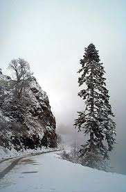 Mudurnu Çavuşderesi Köyü Resimleri 1