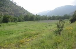 Mudurnu Çavuşderesi Köyü Resimleri 3