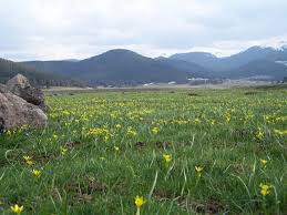 Mengen Dedeler Köyü Resimleri 3