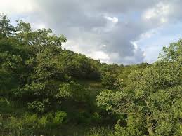 Mudurnu Ekinören Köyü  Resimleri 6