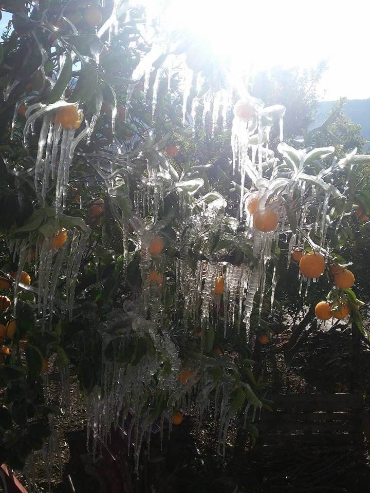 Antalya Gazipaşa Karatepe Köyü Resimleri 19