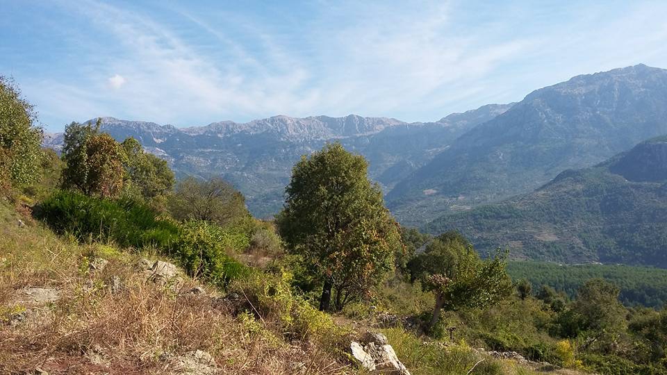 Antalya Gazipaşa Karatepe Köyü Resimleri 22