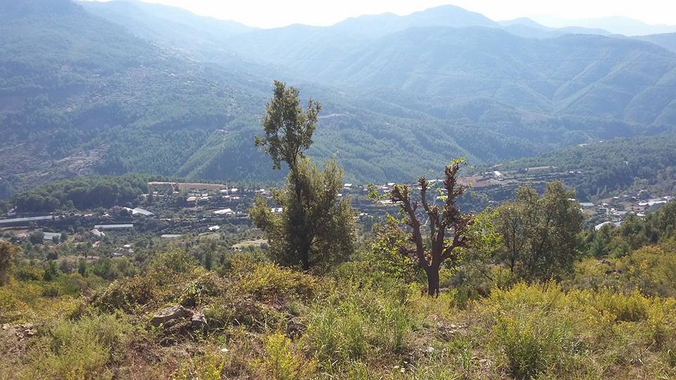 Antalya Gazipaşa Karatepe Köyü Resimleri 23