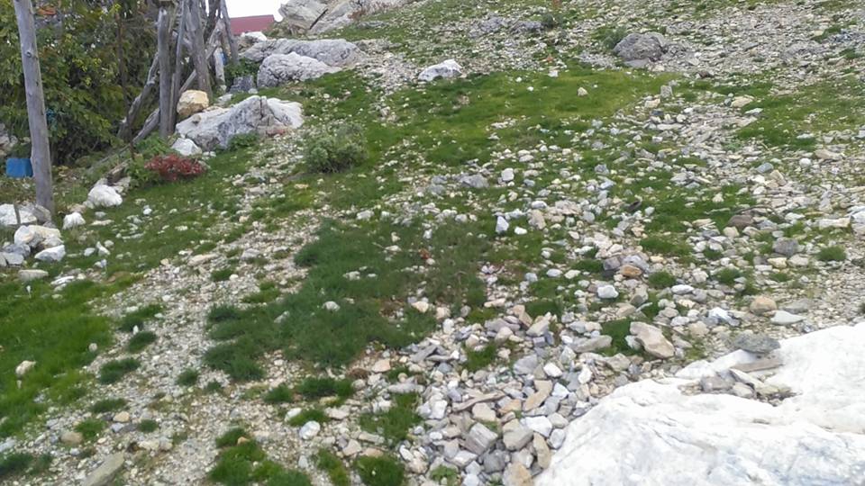 Antalya Gazipaşa Karatepe Köyü Resimleri 24