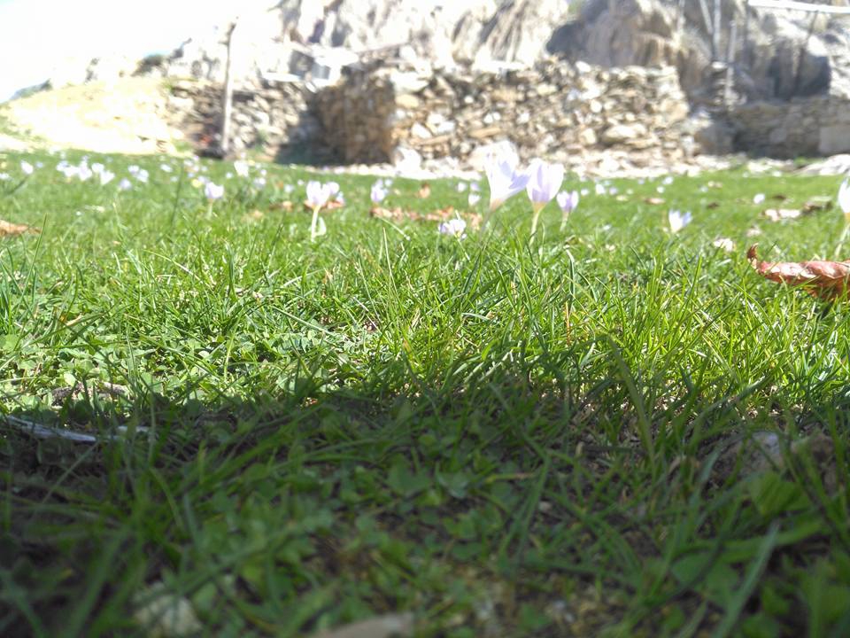 Antalya Gazipaşa Karatepe Köyü Resimleri 25