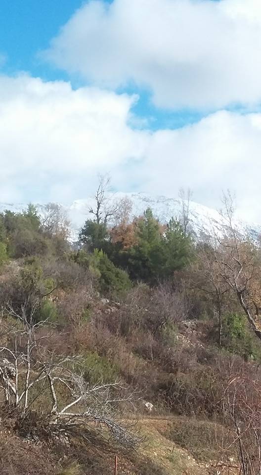 Antalya Gazipaşa Karatepe Köyü Resimleri 5