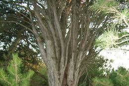 Mudurnu Gürçam Köyü Resimleri 1