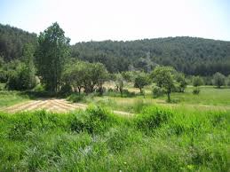 Mudurnu Gürçam Köyü Resimleri 2