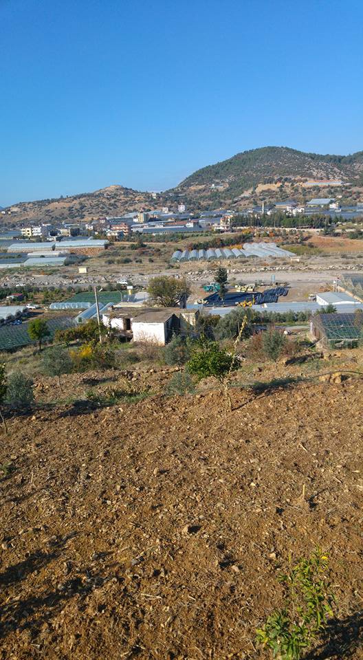 Antalya Gazipaşa Korubaşı Köyü Resimleri 12