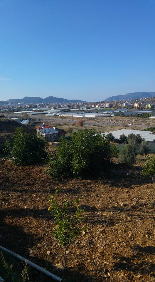 Antalya Gazipaşa Korubaşı Köyü Resimleri 7