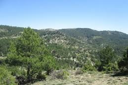 Mudurnu Kacık Köyü Resimleri 2