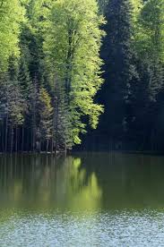 Mudurnu Karamurat Köyü Resimleri 1