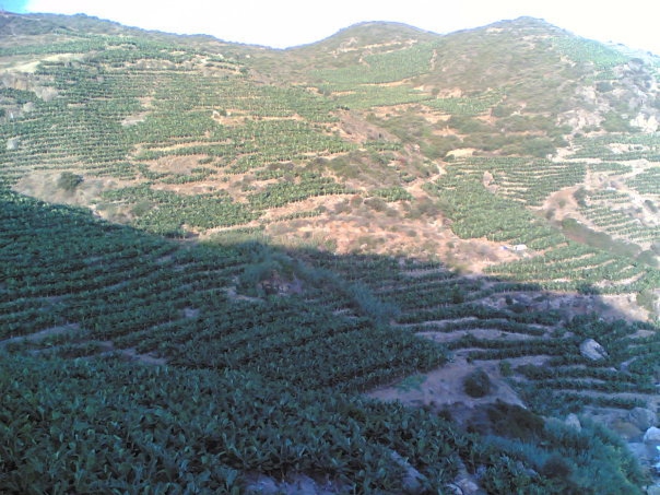 Antalya Gazipaşa Muzkent Köyü Resimleri 10