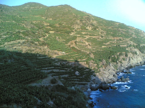 Antalya Gazipaşa Muzkent Köyü Resimleri 11