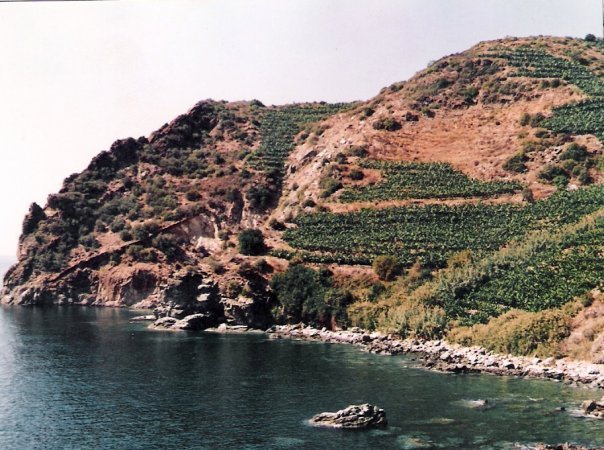 Antalya Gazipaşa Muzkent Köyü Resimleri 12