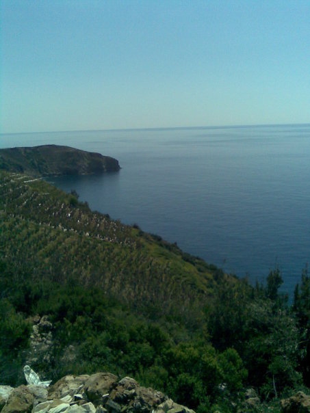 Antalya Gazipaşa Muzkent Köyü Resimleri 8