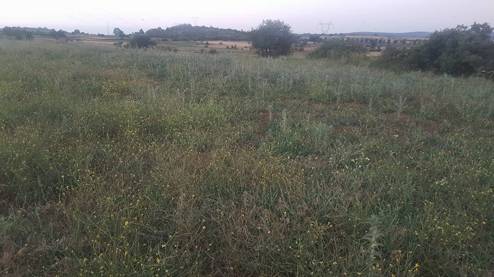 Altıeylül Çakıllık Köyü Resimleri 5