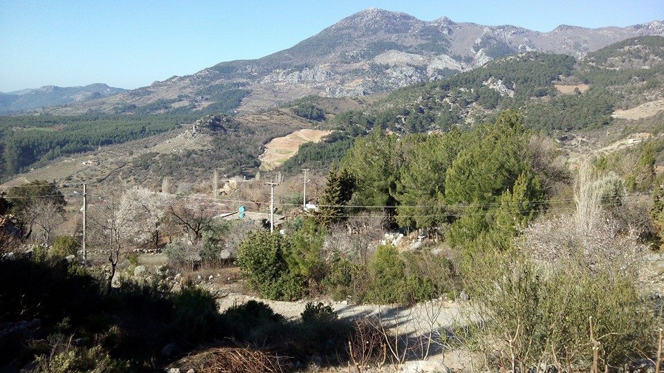 Antalya Gazipaşa Şahinler Köyü Resimleri 13